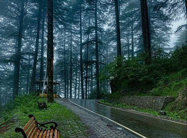 Best Places to Visit in Maharashtra During Monsoon