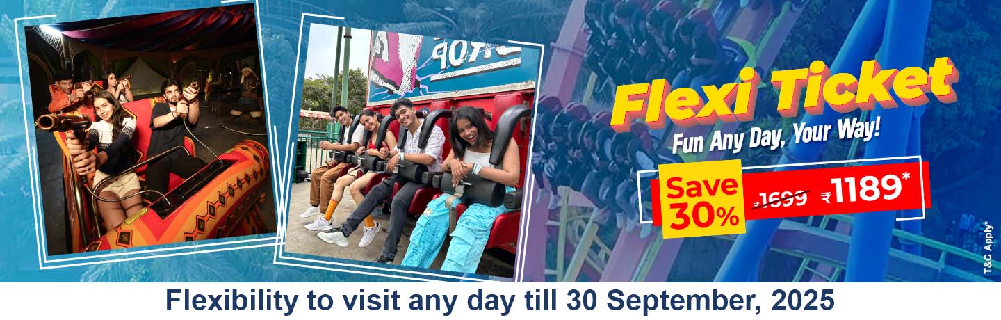 Flexi Ticket theme park
