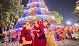 special days in december