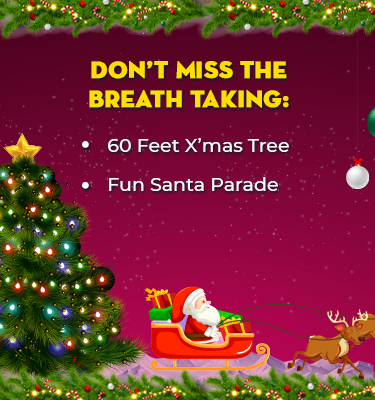 Website-Christmas-Banner-1_02.jpg