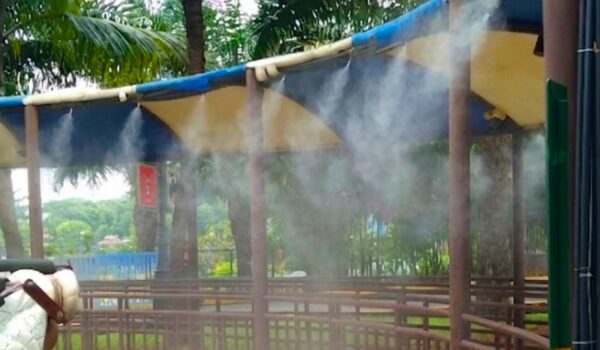 Refreshing Mist ZonesMisting zones across the parks to keep you cool and refreshing throughout the day.