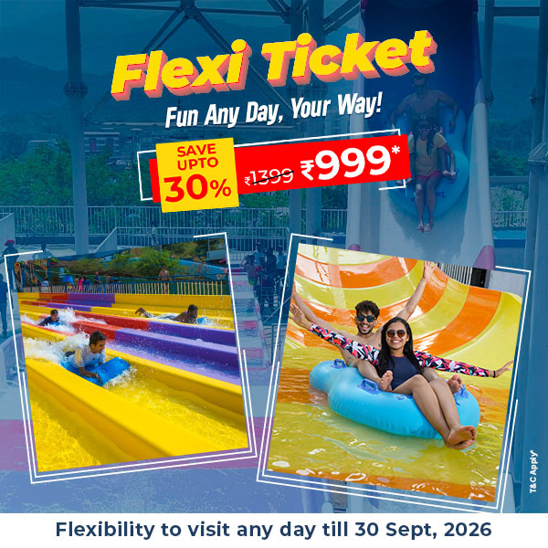 Flexi Ticket