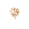 fire_cracker4.gif
